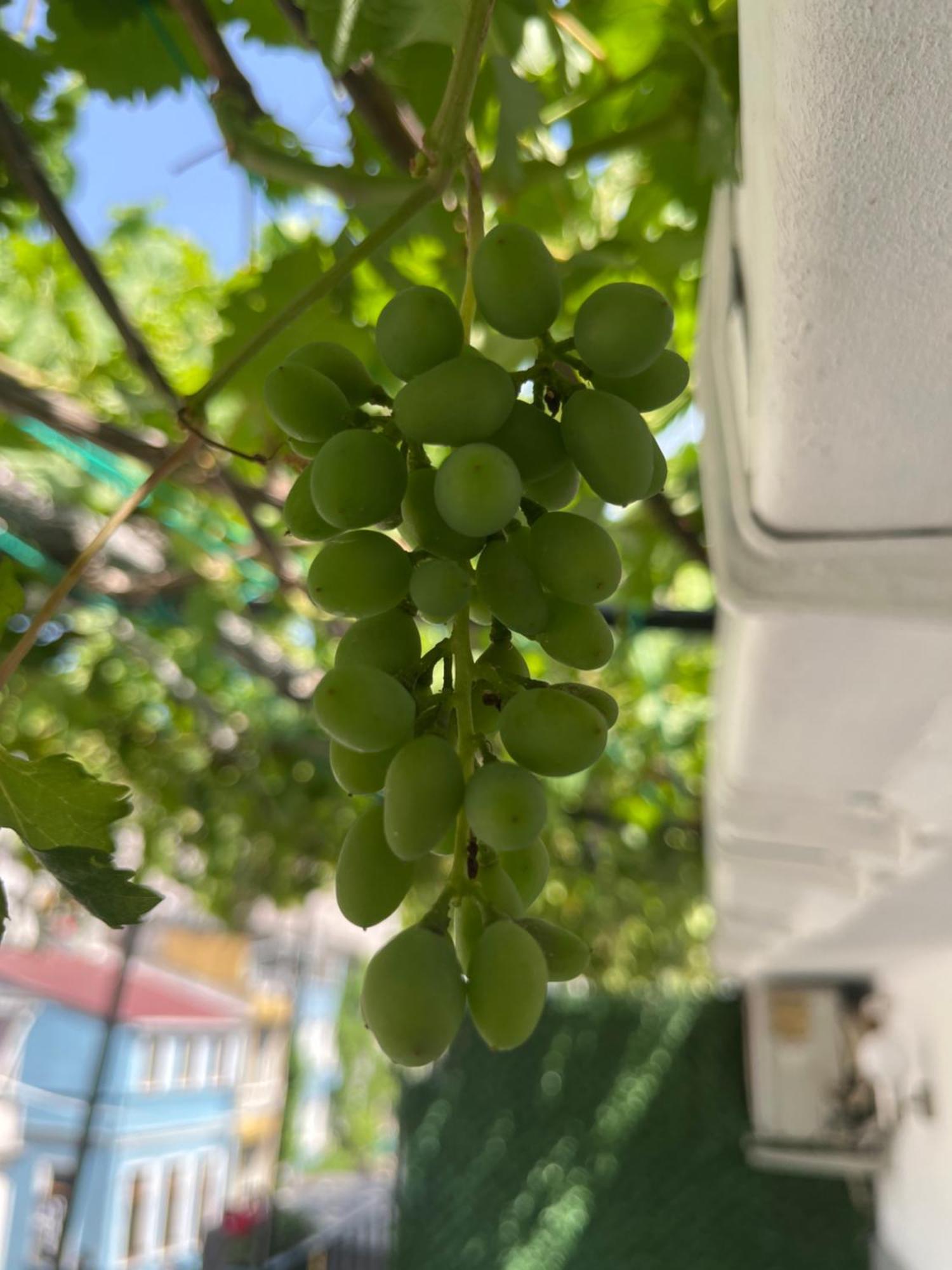 Taksim Neo Pera Suites 이스탄불 외부 사진